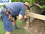 Taree-fence-b 030